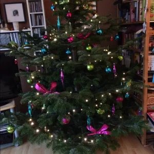image.jpg