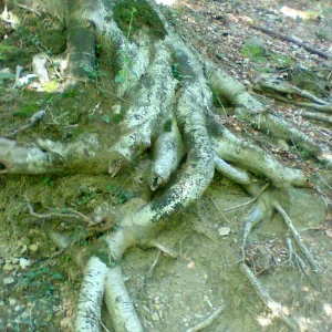 Bild 1862.jpg