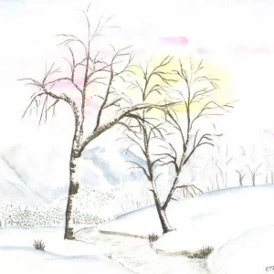 Birke im Winter.JPG
