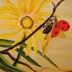 Marienkäfer IMG_0293.JPG