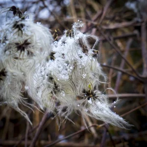 Schönbergausflug (2 von 6).jpg