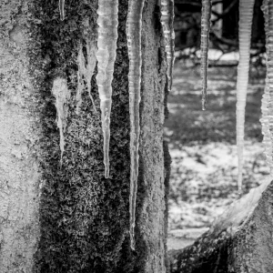 Schönbergausflug (6 von 6).jpg