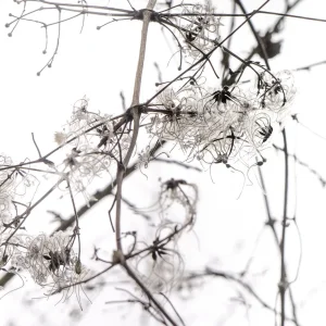 Schönbergausflug (4 von 6).jpg