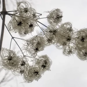 Schönbergausflug (3 von 6).jpg