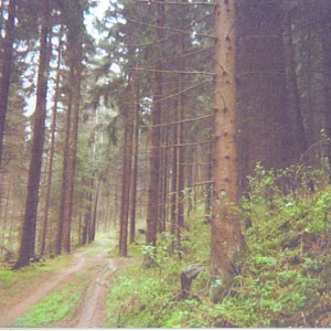 waldviertel 8.jpg
