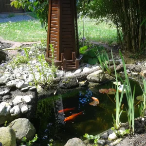 2012-06-05 11.44.26.jpg