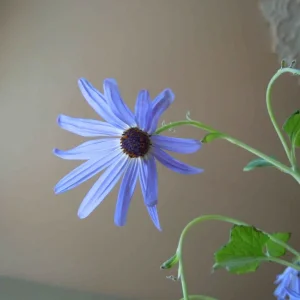 DSCN6355.jpg