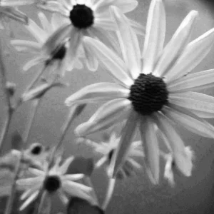 DSCN6357.jpg