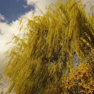 Ostern 2015 (13 von 19).jpg