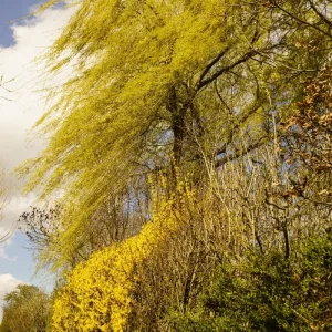 Ostern 2015 (14 von 19).jpg