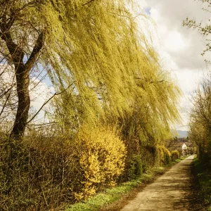 Ostern 2015 (15 von 19).jpg