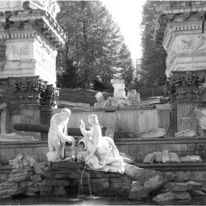 20150421_163043bw.jpg