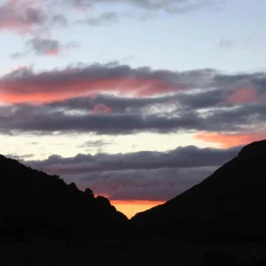 NZ 4 029.jpg