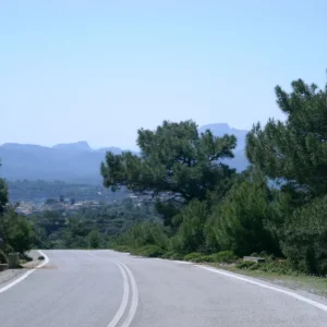 DSCI0020.JPG