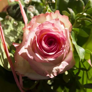 Test EOS 5dIII (3 von 6).jpg