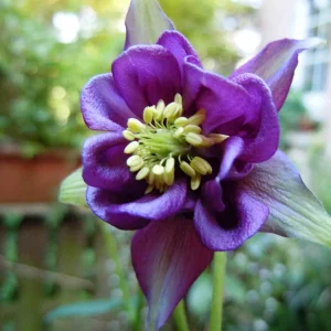 DSCN6862.jpg