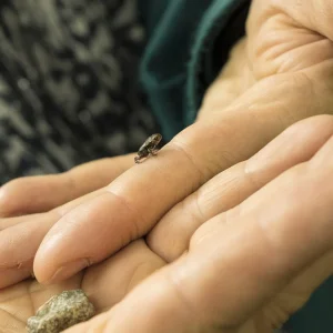 Frösch (5 von 7).jpg