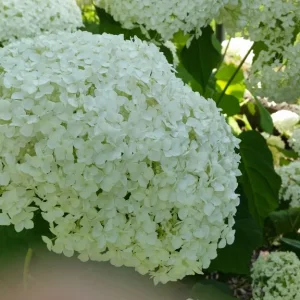 20150722_165332 (1024x576).jpg