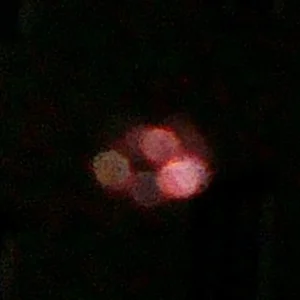 179091_633792173302943_1869873883_n.jpg