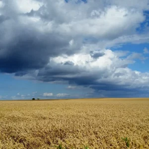 20150726_162228 (1024x576).jpg