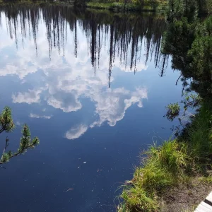20150808_122409.jpg