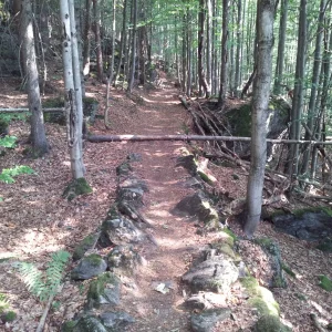 20150809_101420.jpg