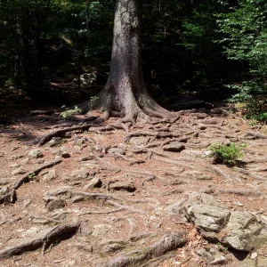 20150809_120349.jpg