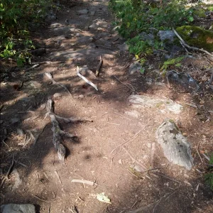 20150809_142612.jpg