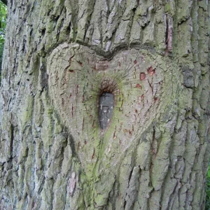 DSCN7176.jpg