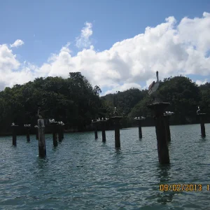 DomRep2013 240.JPG