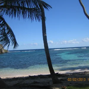DomRep2013 047.JPG