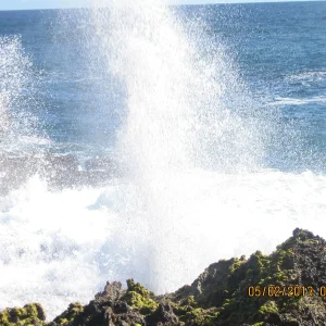 DomRep2013 153.JPG