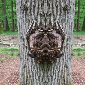 Baumgeist.jpg