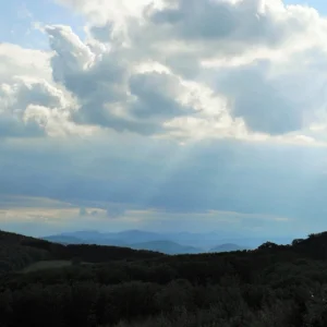 DSCF7612.JPG