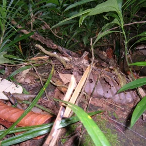 DSCF0481.JPG