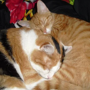 Lukas und Karli 039.jpg