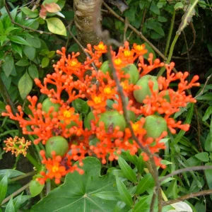 DSCF0402.JPG