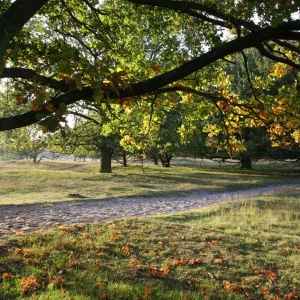 Boberg Oktober 2010 031.jpg