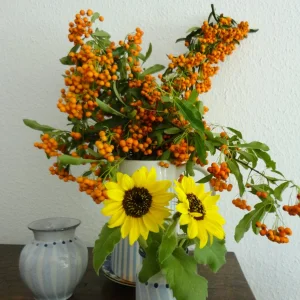 DSC08811.JPG