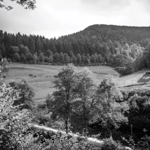 Aug 2015 Mummelsee (58 von 204).jpg