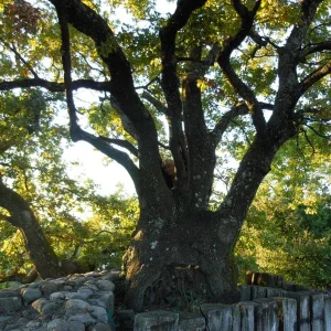 DSCN0094.JPG