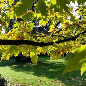 20151019_141634[1].jpg