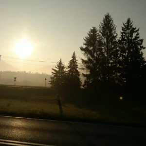 2015-10-20-0122.jpg