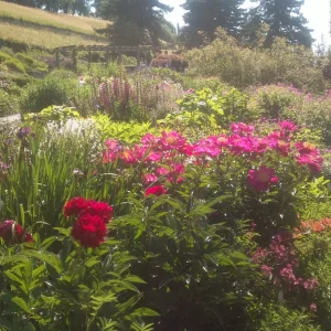 2014-06-07-578.jpg