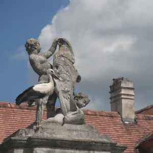 DSCF5678.JPG