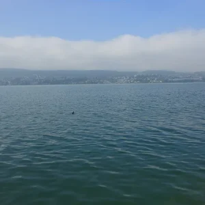 A0058Res.JPG