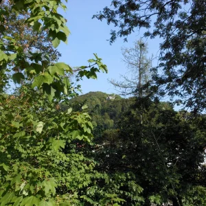 B0097Res.JPG