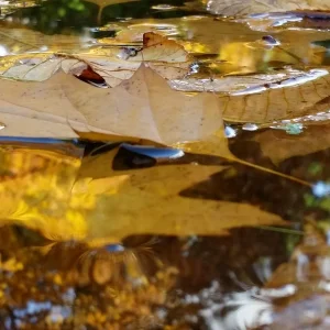 20151023_114449[1].jpg