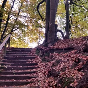 20151024_125923.jpg