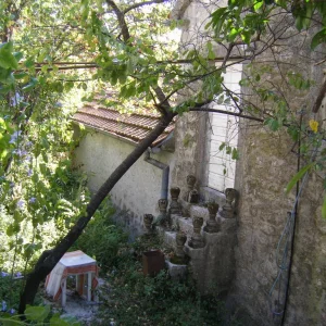 DSCF9650.JPG